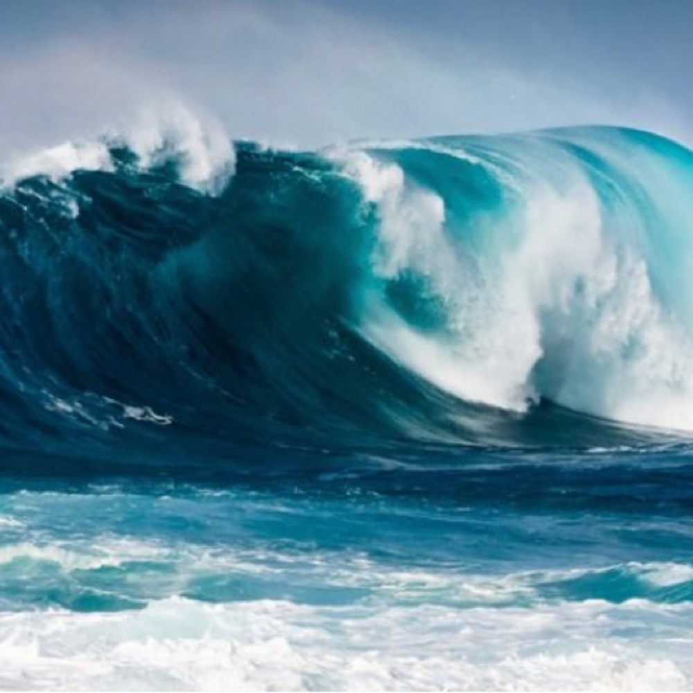 Meet your Posher,Denise